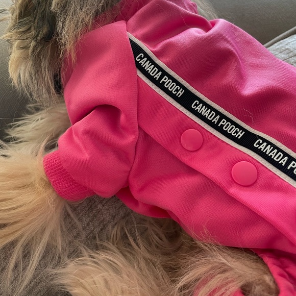 Canada Goose Dog Canada Pooch Hot Pink Poshmark